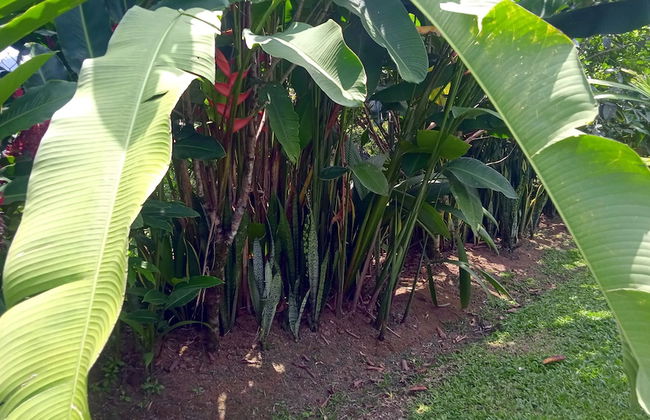 Villas Lux Arenal - Foto 12