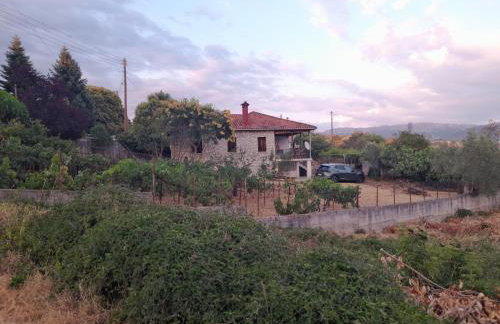 Το πετρόσπιτο - Foto 4