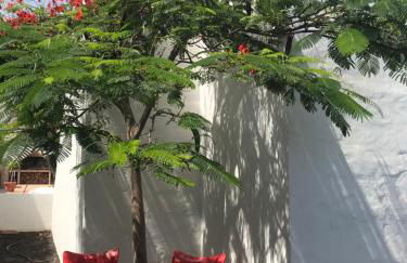 Casa Dylan - Foto 35