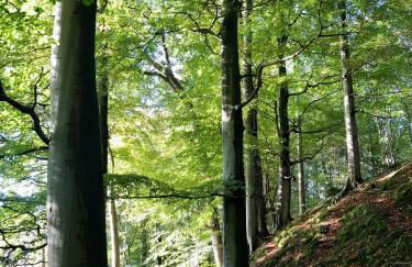 The Architect's Mews - Foto 26