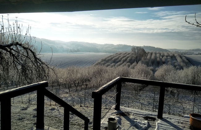 Moja Mała Toskania - Foto 62