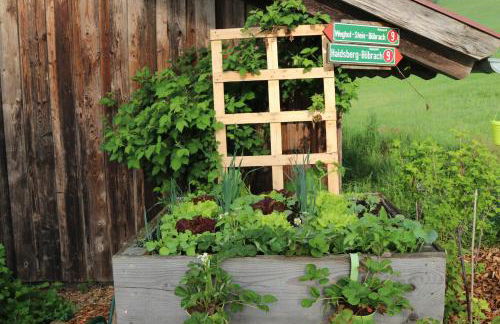 Ferienhof Schmalzgrub - Foto 29