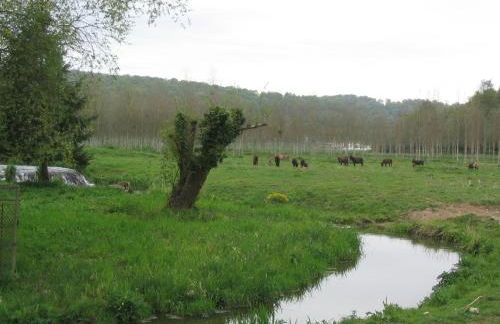 la ferme des granges - Foto 9