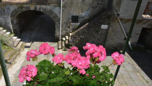 Agriturismo Ghirlanda Norma Rita - Foto 3