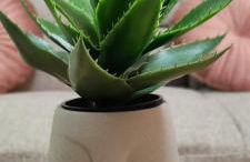 Soul II Soul Veria - Photo 27