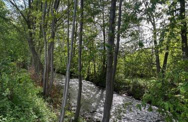 Leśny Park Polanica - Foto 32