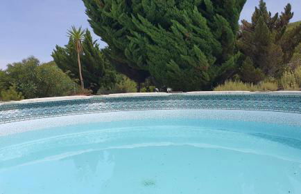 Vila tradicional Lagoa de Óbidos com piscina - Foto 10