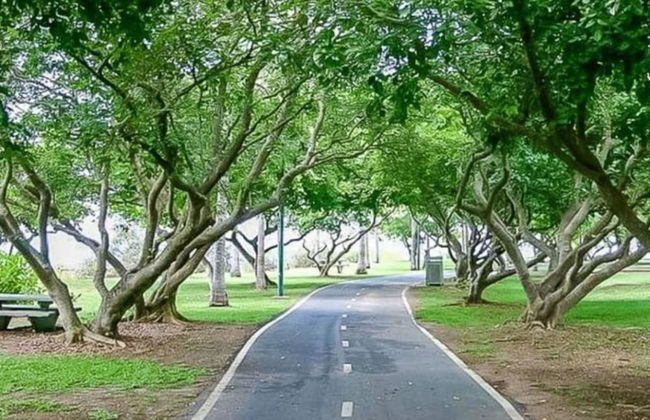 Zen Nest Cozy Lawn Minimalist - Foto 34