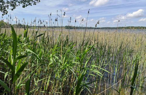 Grzybowo Dom wakacyjny - Foto 16