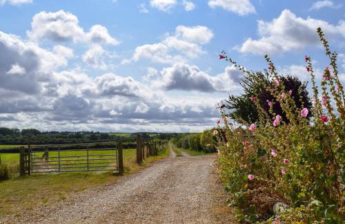 Hollyhocks - Uk47975 - Foto 26