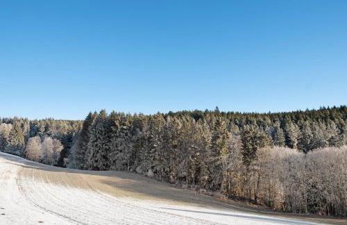 Haus Ingrid - Foto 17