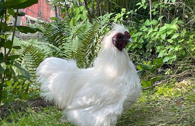 3 Person Holiday Home in ABY - Foto 15