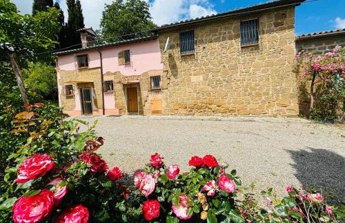 Predio Palazzo - Foto 12