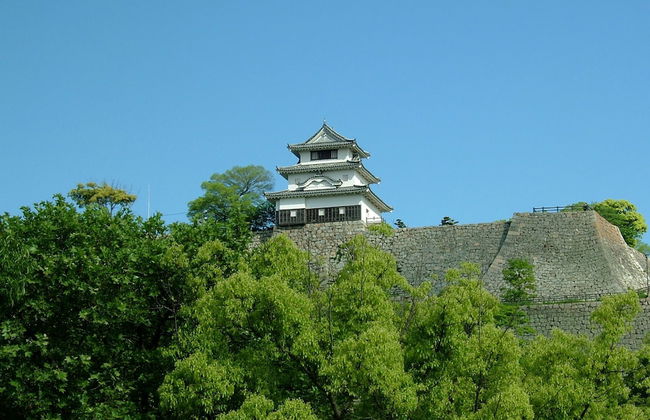 marugamenoyadosawai - Foto 46