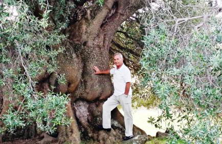 Appartamento del Cardellini - Foto 22