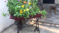 Αρχοντικό Πρεπάλα - Foto 4