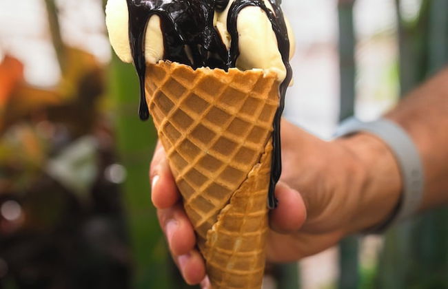 Marinell Collection Palm-Mar - Foto 64