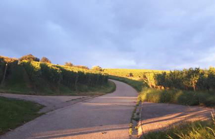 Haus Elfriede - Foto 35