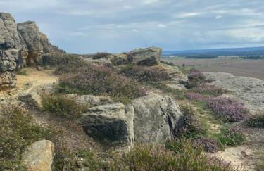 Langensteiner Idyll - Foto 51