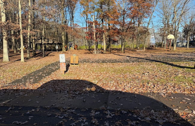 PSU Properties - Foto 4