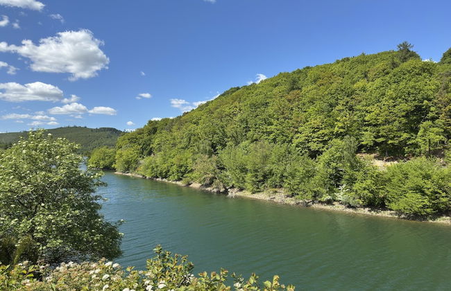 Chalets am Diemelsee in Heringhausen - Photo 36