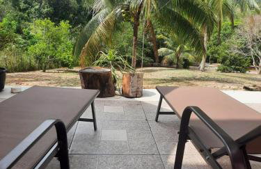 Abelha & Peixe Boi - Photo 1