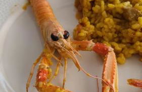 Beachfront Apartment La Manga - Foto 44