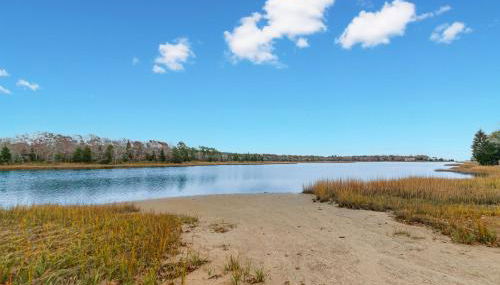 Lemon Tree Cottage - Photo 2