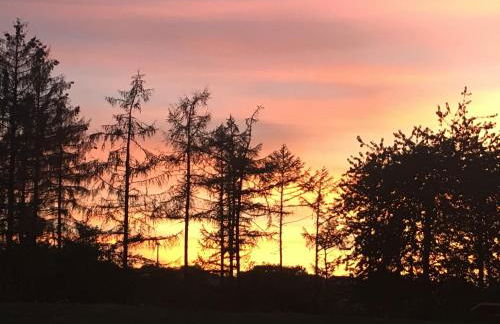 Ferienwohnung Becker - Foto 31