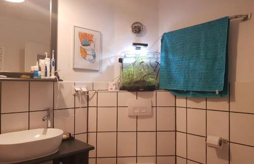 Ältestes Haus in Quentel - Ferienwohnung 2 mit Dachterrasse - Foto 12