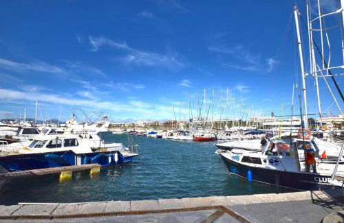 FMP Ancora - Foto 27