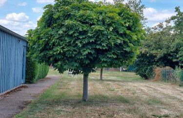 Ferienwohnung Uljana - Foto 6