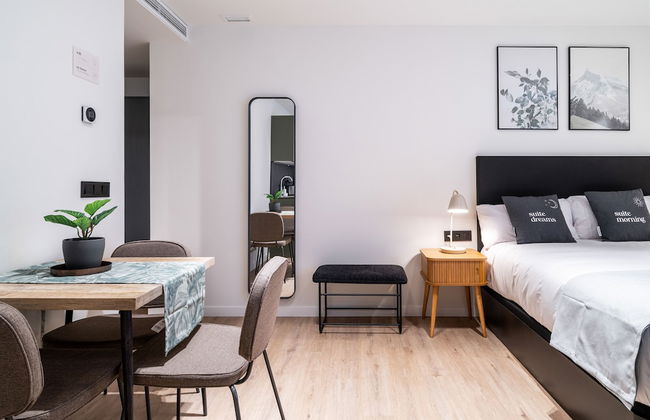 Limehome Vitoria Palacio Álava-Velasco - Foto 6