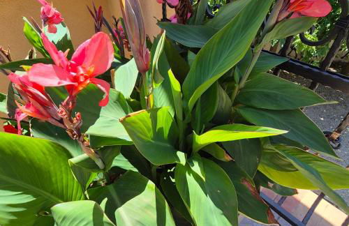 Résidence Les Salettes - Foto 38