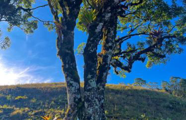 Sítio das montanhas - Foto 7