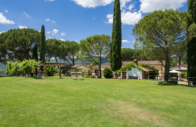 Cedri Alti - Foto 25