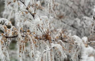 Ebenerdige Ferienwohnung im Luftkurort Dodenau - Foto 24