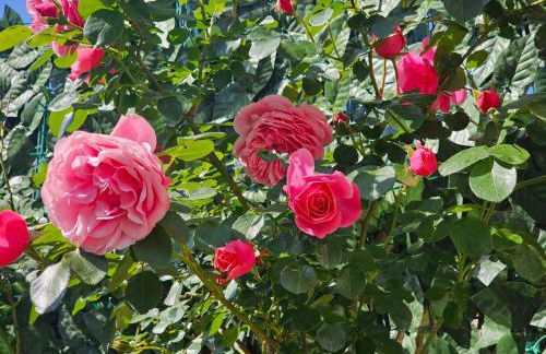 A Home Away From Home - Photo 11