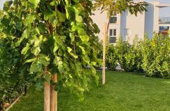 Sea View Apartments Zaboric - Foto 13