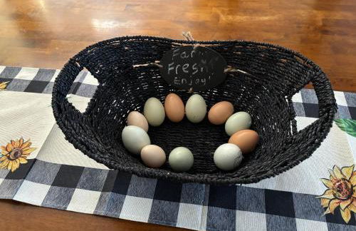 Peaceful & Cozy 3 bedroom Ranch-Home w/Fireplace - Foto 11