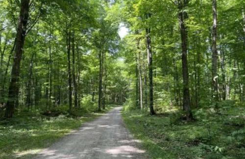 Chapel Forest Cabin - Foto 41