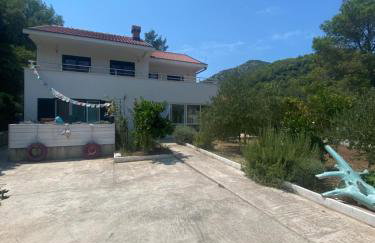 Koko's home - Photo 6