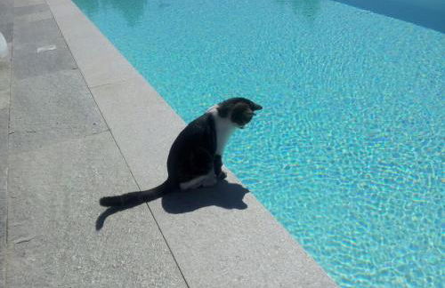 Casa LuceSole - Photo 61