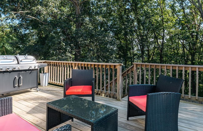 Waynesboro Home Near Wintergreen Charlottesville - Photo 41