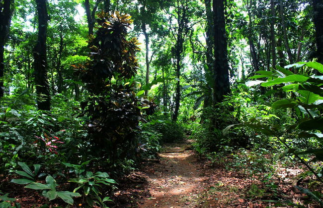 Casa Cerise - Foto 63