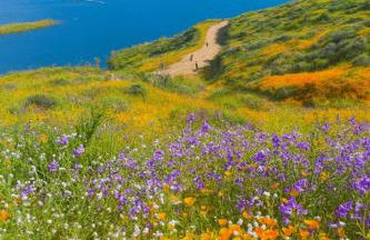 Western Horizon Home - Foto 46