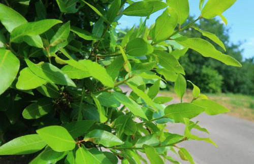 Apartments Sunset Jadranovo - Photo 32