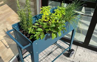 Steinwald-Zeit - Foto 28