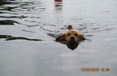 Apartment Appartement mit Garten- Grill und Terrasse by Interhome - Foto 19