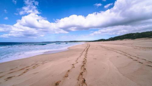 Oceanview Moloka'i Studio - Foto 3